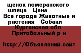 щенок померанского  шпица › Цена ­ 50 000 - Все города Животные и растения » Собаки   . Курганская обл.,Притобольный р-н